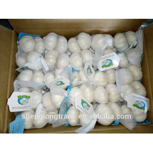 Chinese white garlic 100gx100bags in 10kg carton 2017 crop